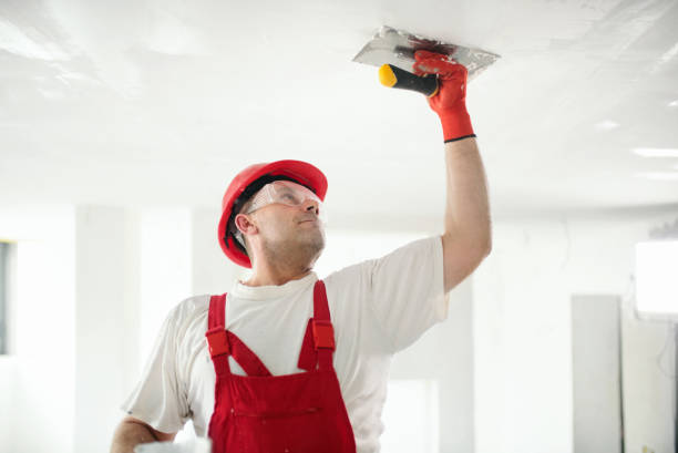 Best Fire-Damaged Drywall Repair  in Meadow Vista, CA